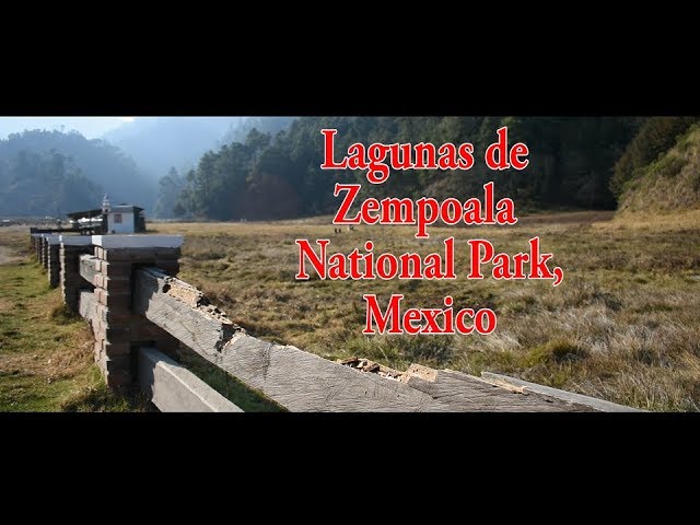 Private driver from Mexico City to Zempoala Lagoons: High-altitude lagoons