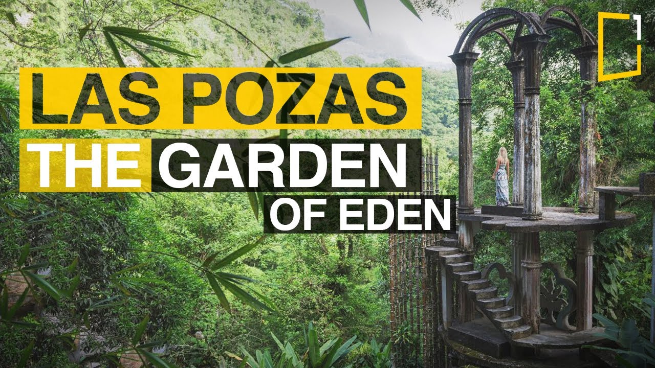 Private driver from Mexico City to Xilitla: Surrealistic garden of Edward James