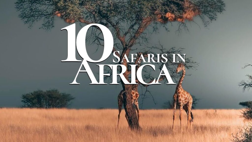 Things to do in Africam Safari