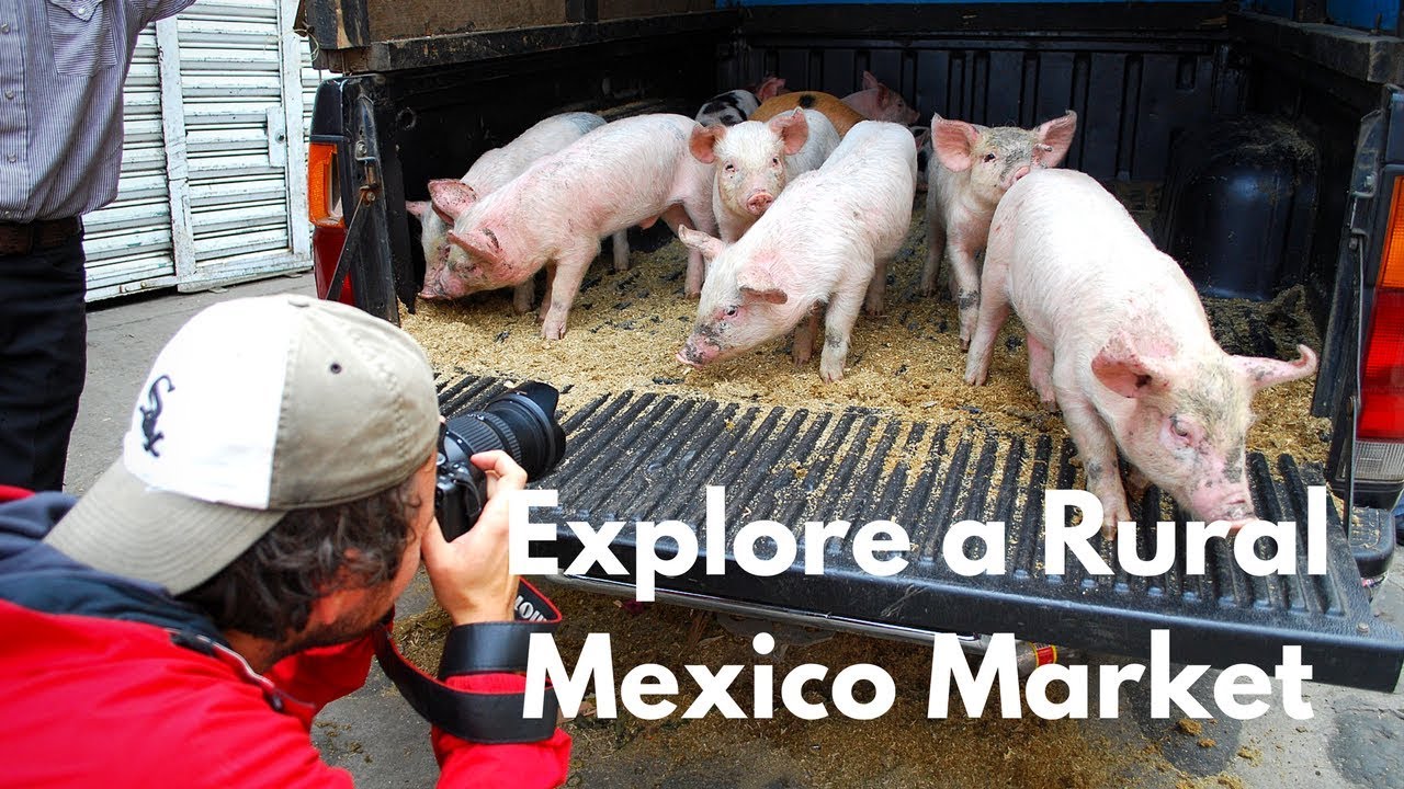 Things to do in Coscomatepec