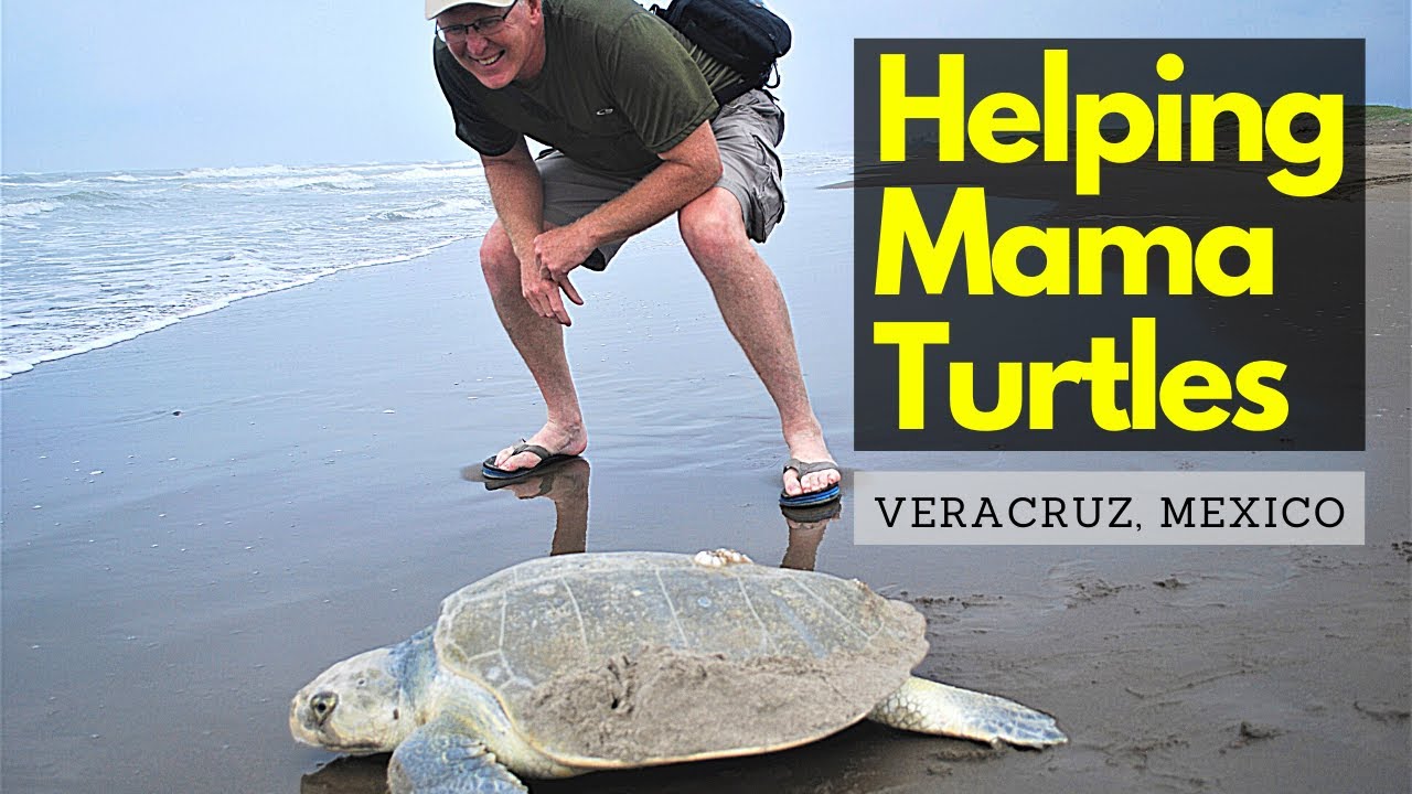 Things to do in Tecolutla