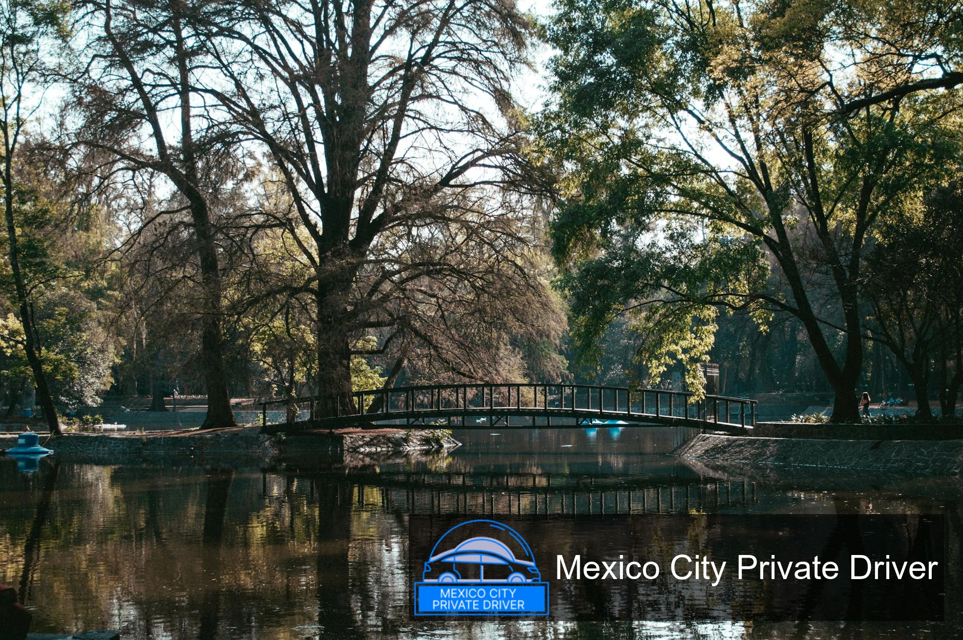 Vibrant trees and pathways in Bosque de Chapultepec, a peaceful retreat in Mexico City.