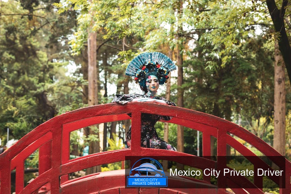 Lush greenery and walking paths in Parque La Mexicana, Mexico City.