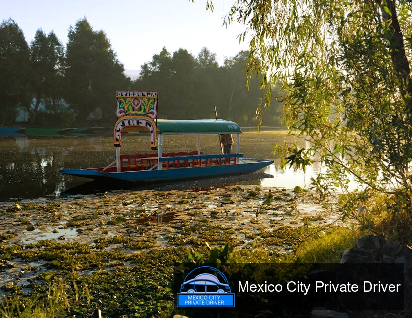 Vibrantly painted trajineras lined up on the canals of Xochimilco, surrounded by lush greenery and traditional flowers.